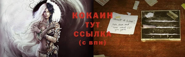 сатива Зеленокумск