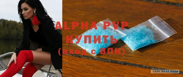 стаф Инсар