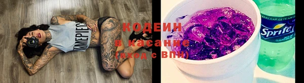 сатива Зеленокумск