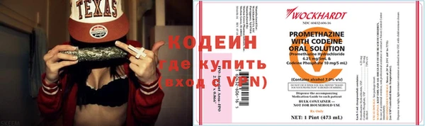 сатива Зеленокумск