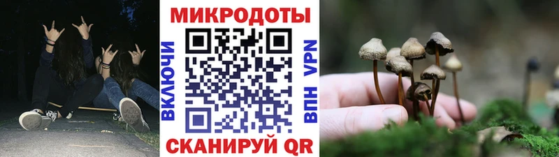 Купить  Сафоново  Галлюциногенные грибы Psilocybe 