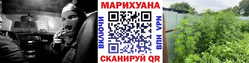 Купить где  Сафоново  МАРИХУАНА гибрид 